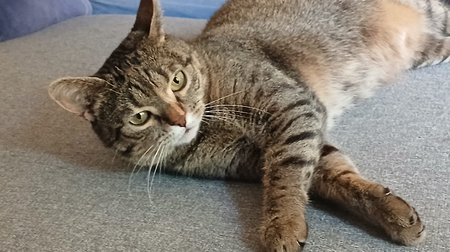 Mia