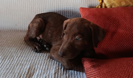 Rusty