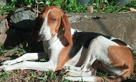 Bahia