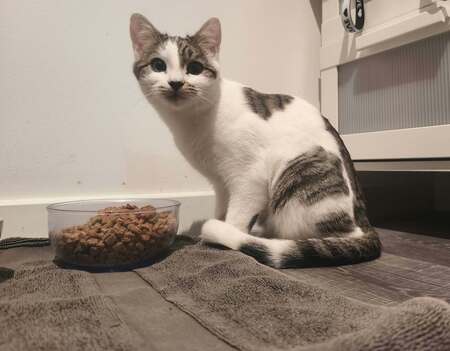 Millie