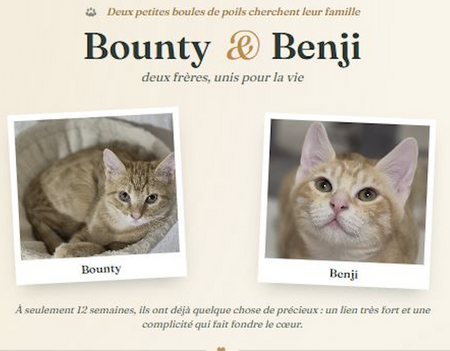 Bounty & Benji