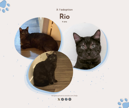 Rio