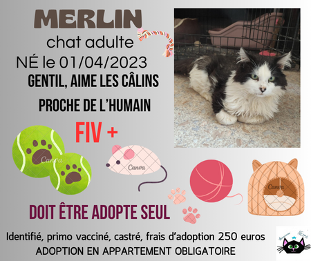 Merlin
