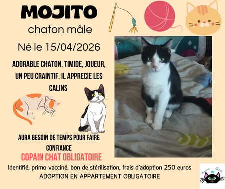 Mojito