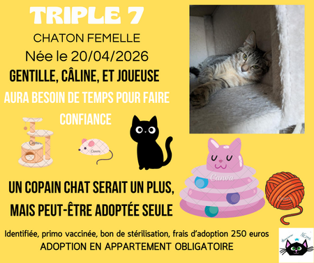 Triple 7