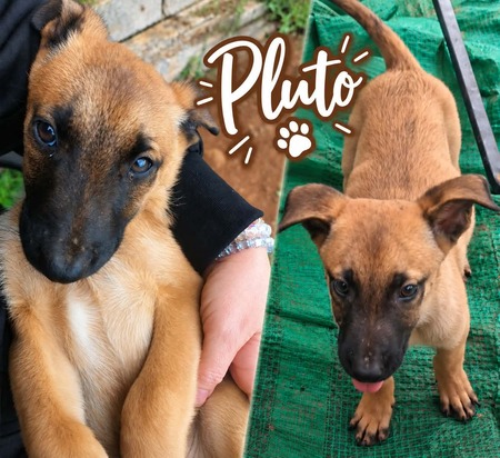 Pluto