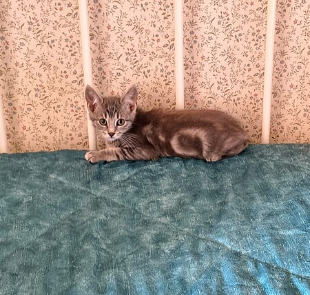 Marty