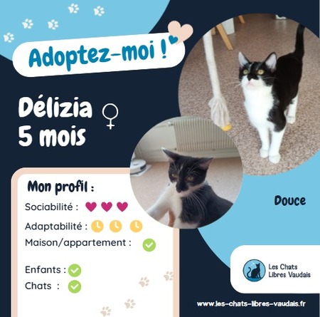 Délizia
