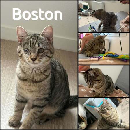 Boston
