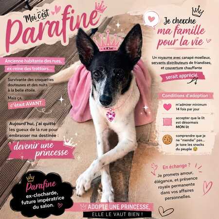 Paraffine