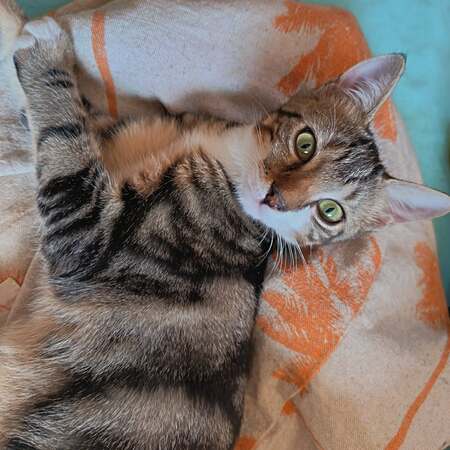 Magda