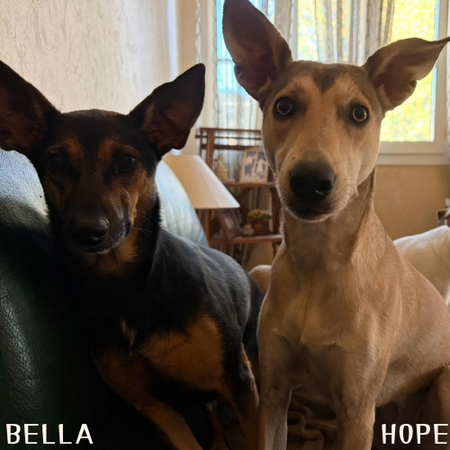Bella et Hope