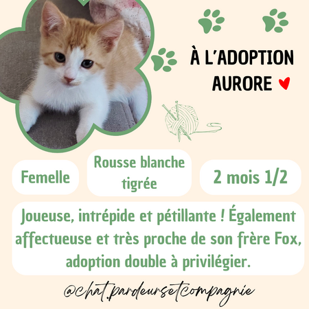 Aurore