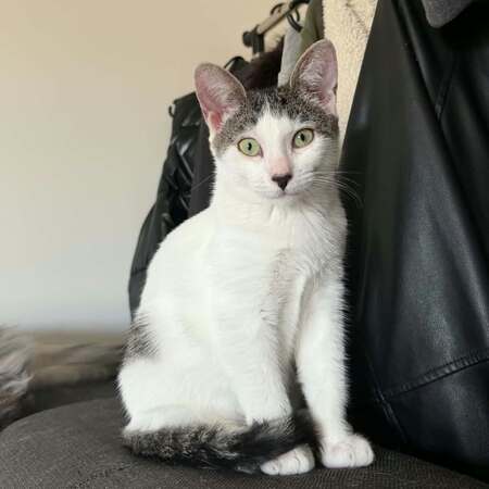 Bonnie