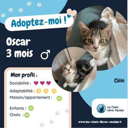 Oscar