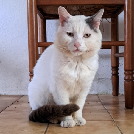 Blanco