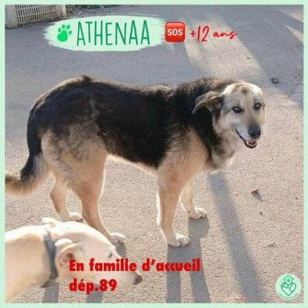 Athénaa