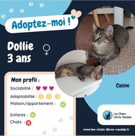 Dollie