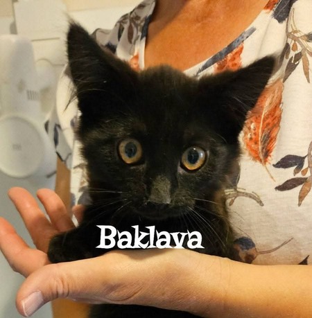 Baklava