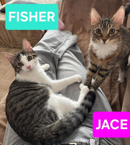 Jace et Fisher 