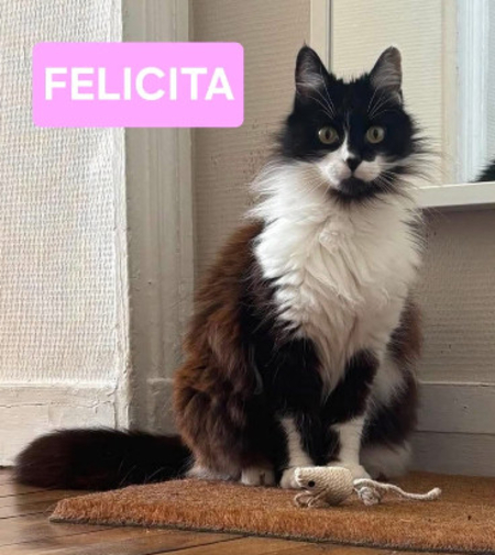 Félicita