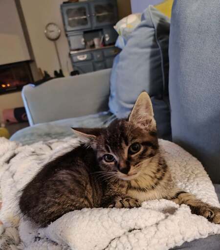 Berto