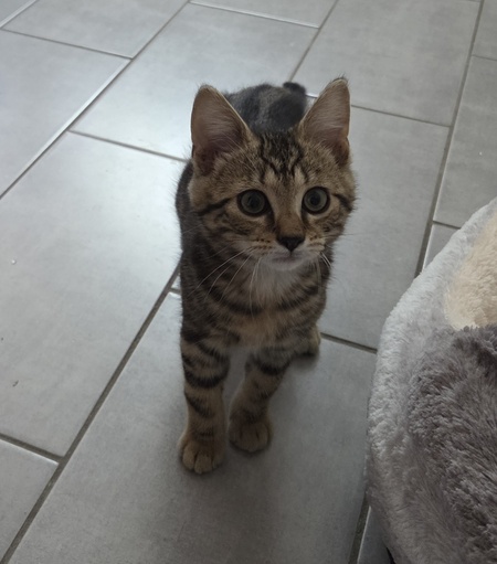 Milo