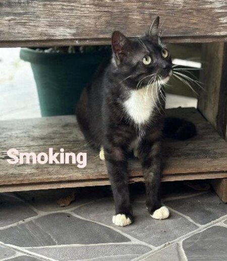 Smoking