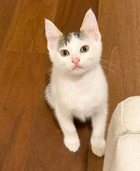 Milo