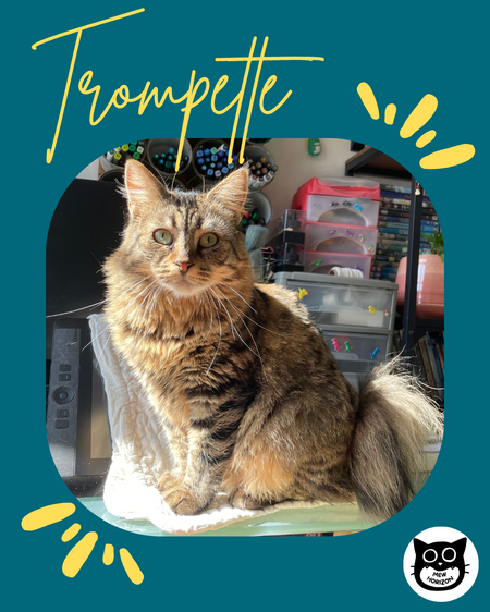 Trompette