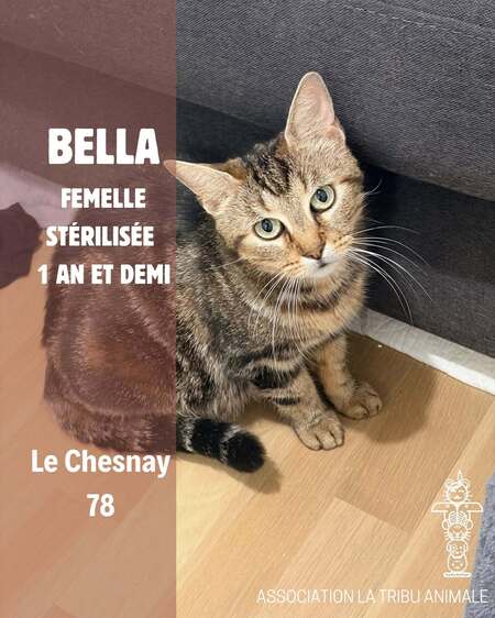 Bella