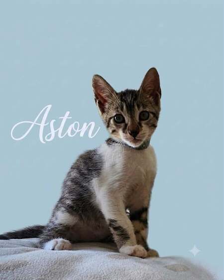 Aston