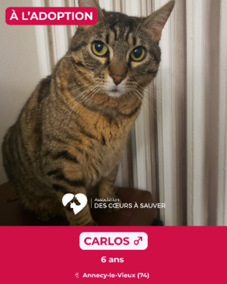 Carlos
