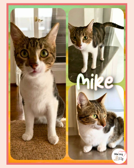 Mike