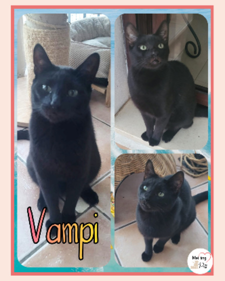 Vampi