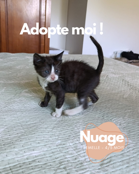 Nuage