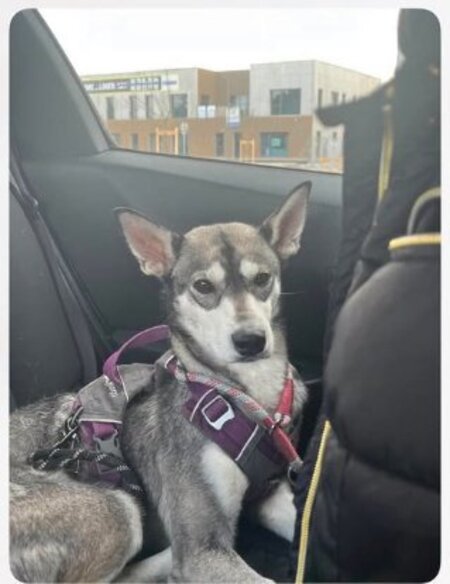 Valka