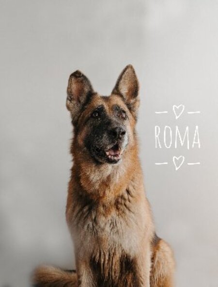Roma