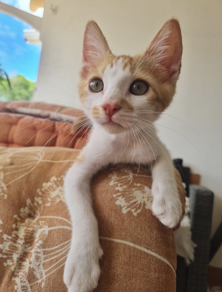 Loufy