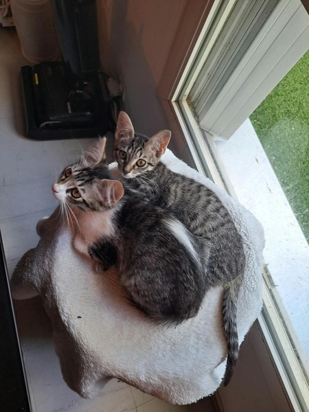 Bonnie & Bianca