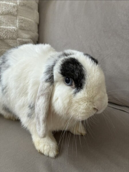 Winnie