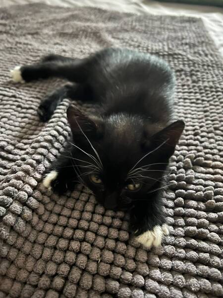 Fiona