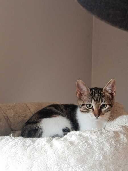Lili