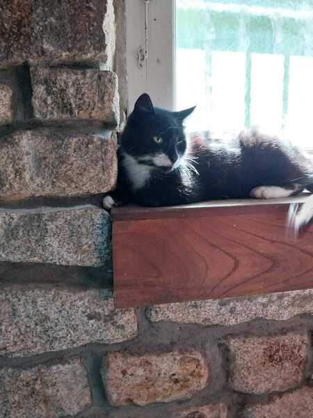 TITOUAN 