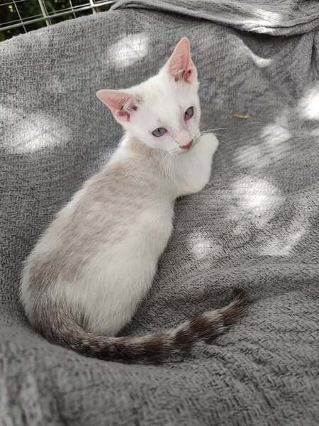 Bébé 