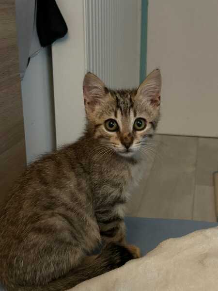 BASTIEN 