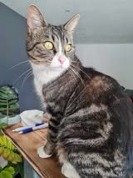 Rhéa