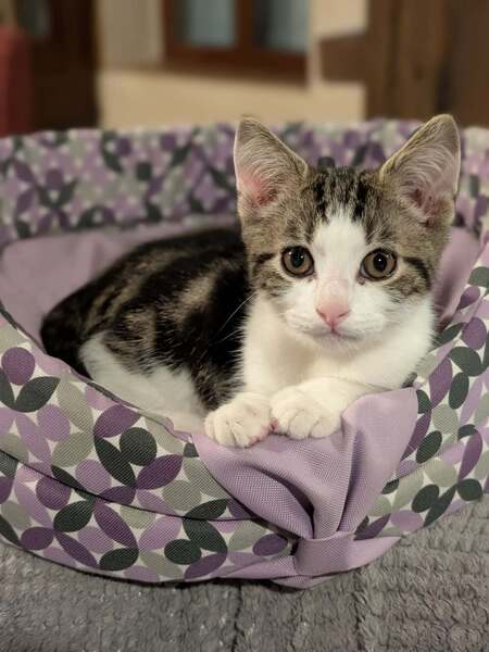 Lou