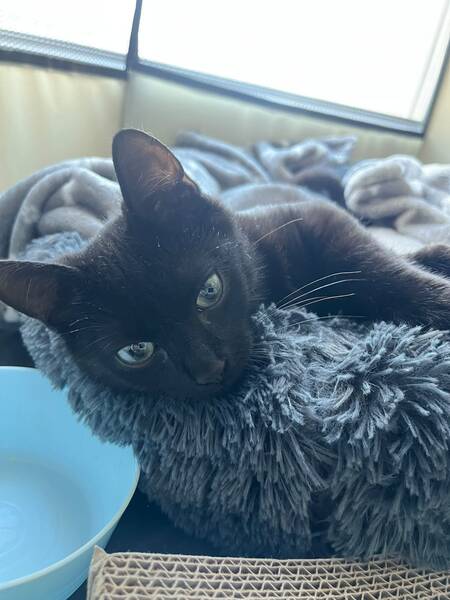 Léo