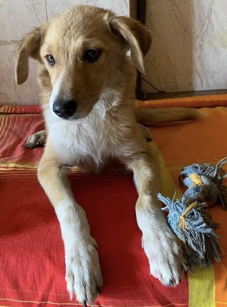 Alma